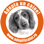 Caini - Anunturi adoptii caini