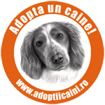 Adoptaţi un căţel ca mine
