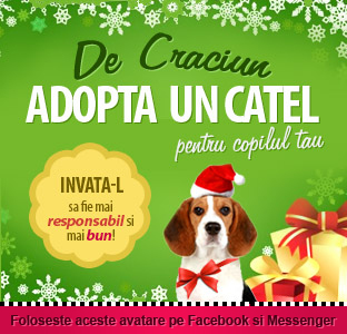 Adopta de Craciun!
