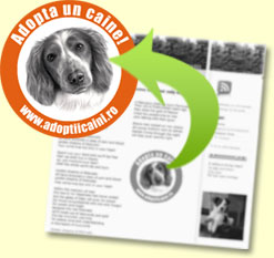 Sprijina Adoptiile