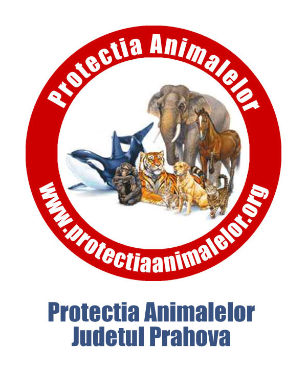 Protectia Animalelor