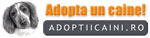 Adoptii Caini