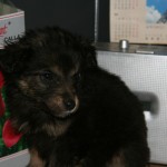 IMG_6454.JPG (1 MB)