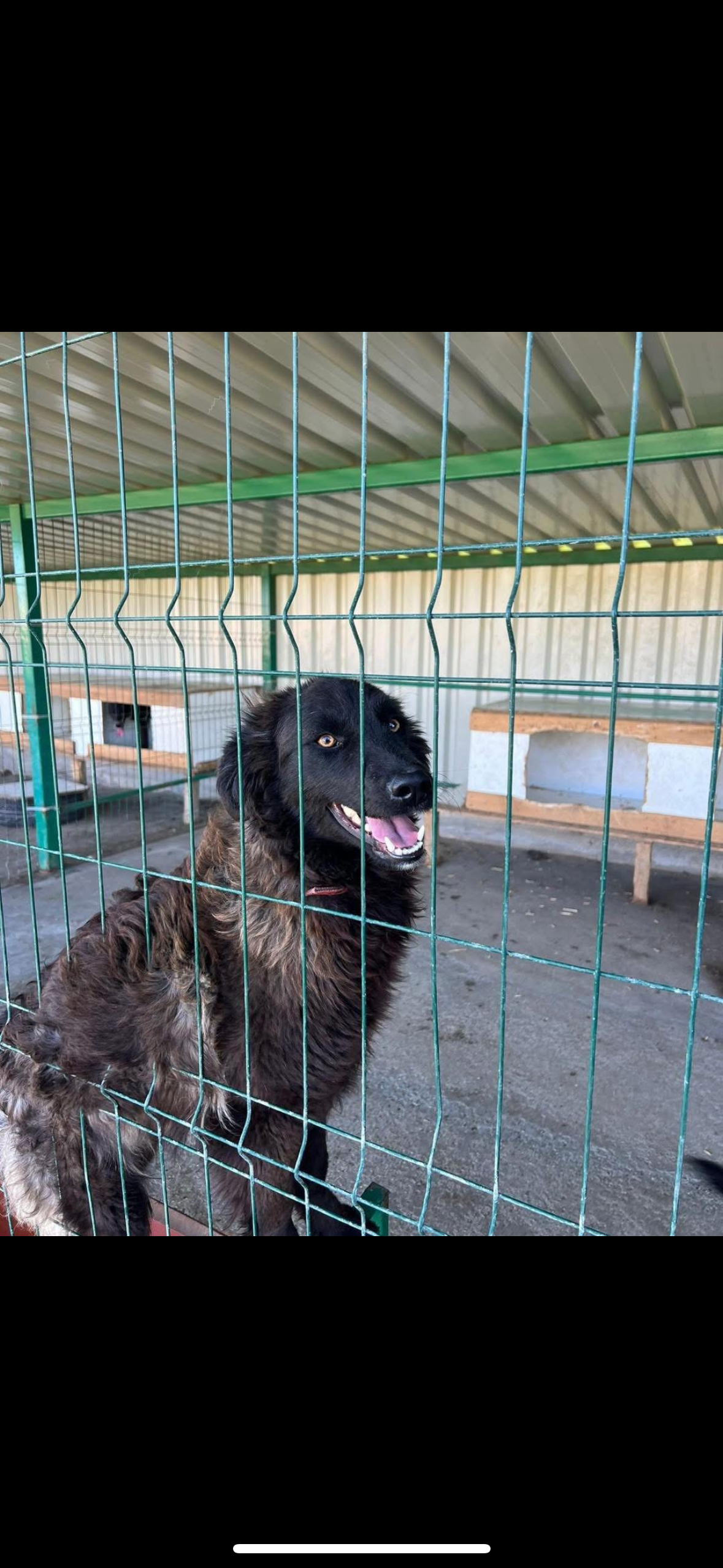 Leyla spera sa ajunga ACASA
