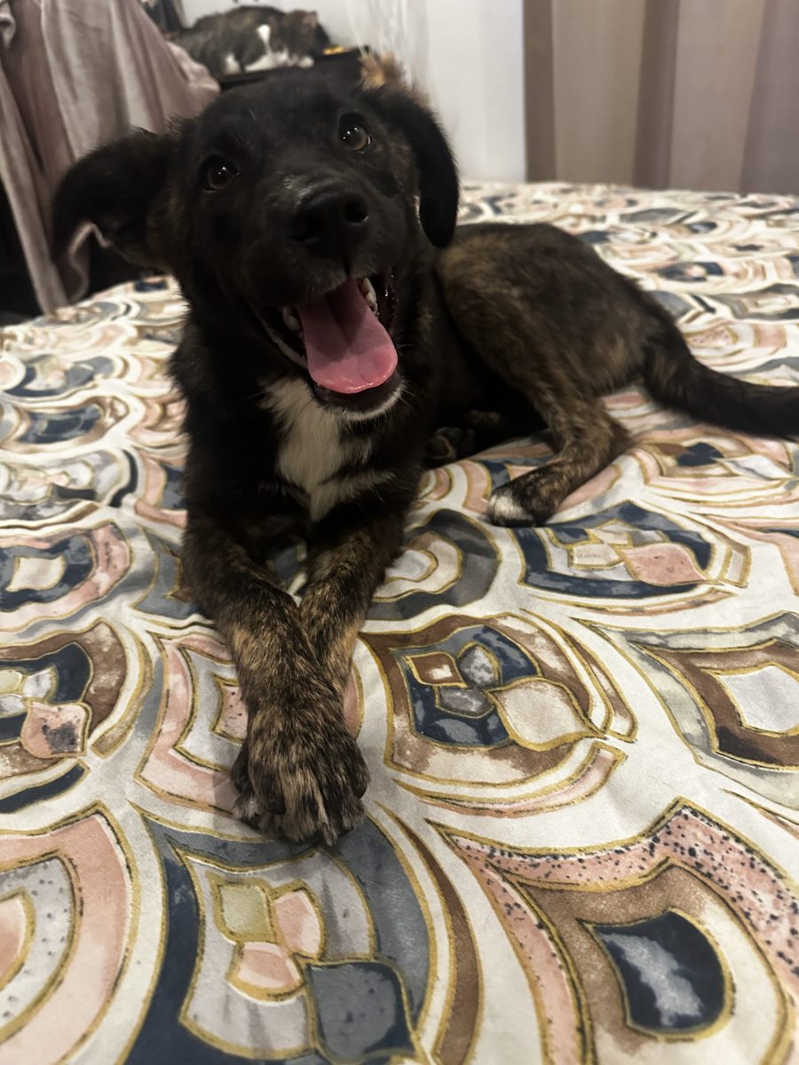 Nina, de o dulceata si o inteligenta rara