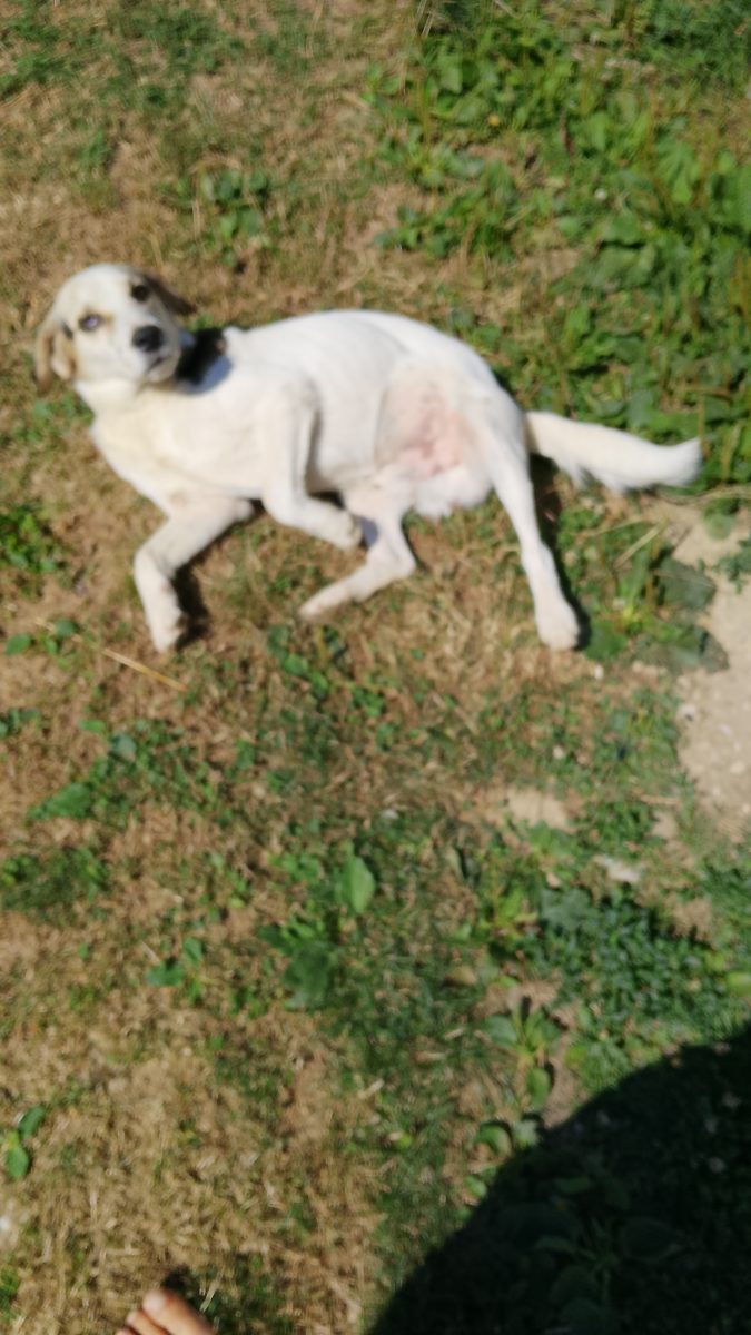 Max